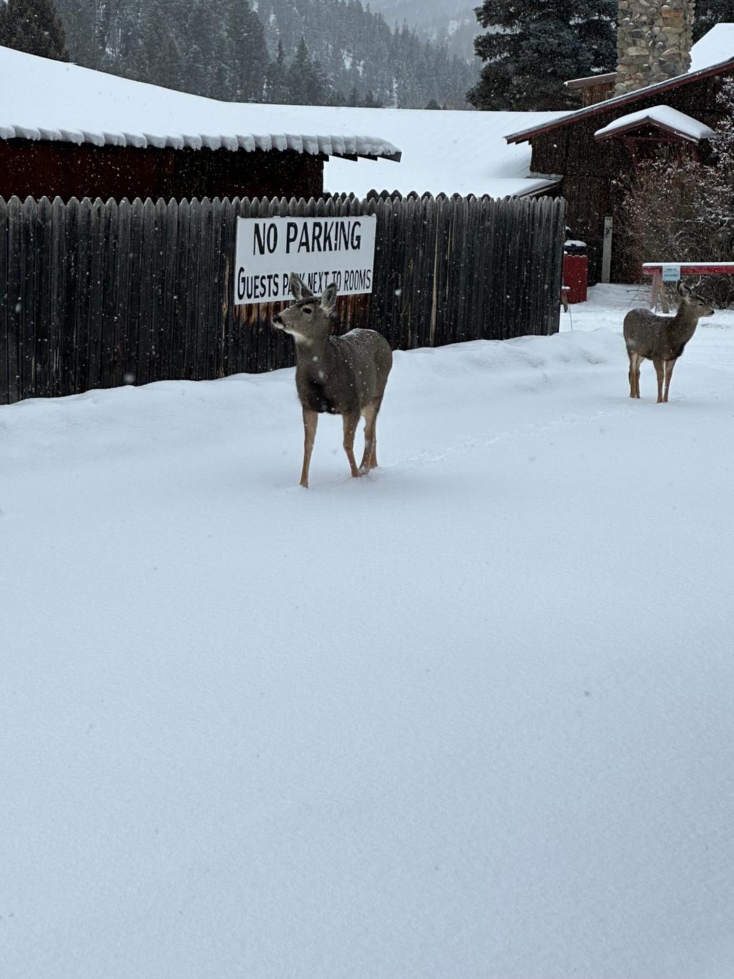 Deer Lodge Red River Exterior photo