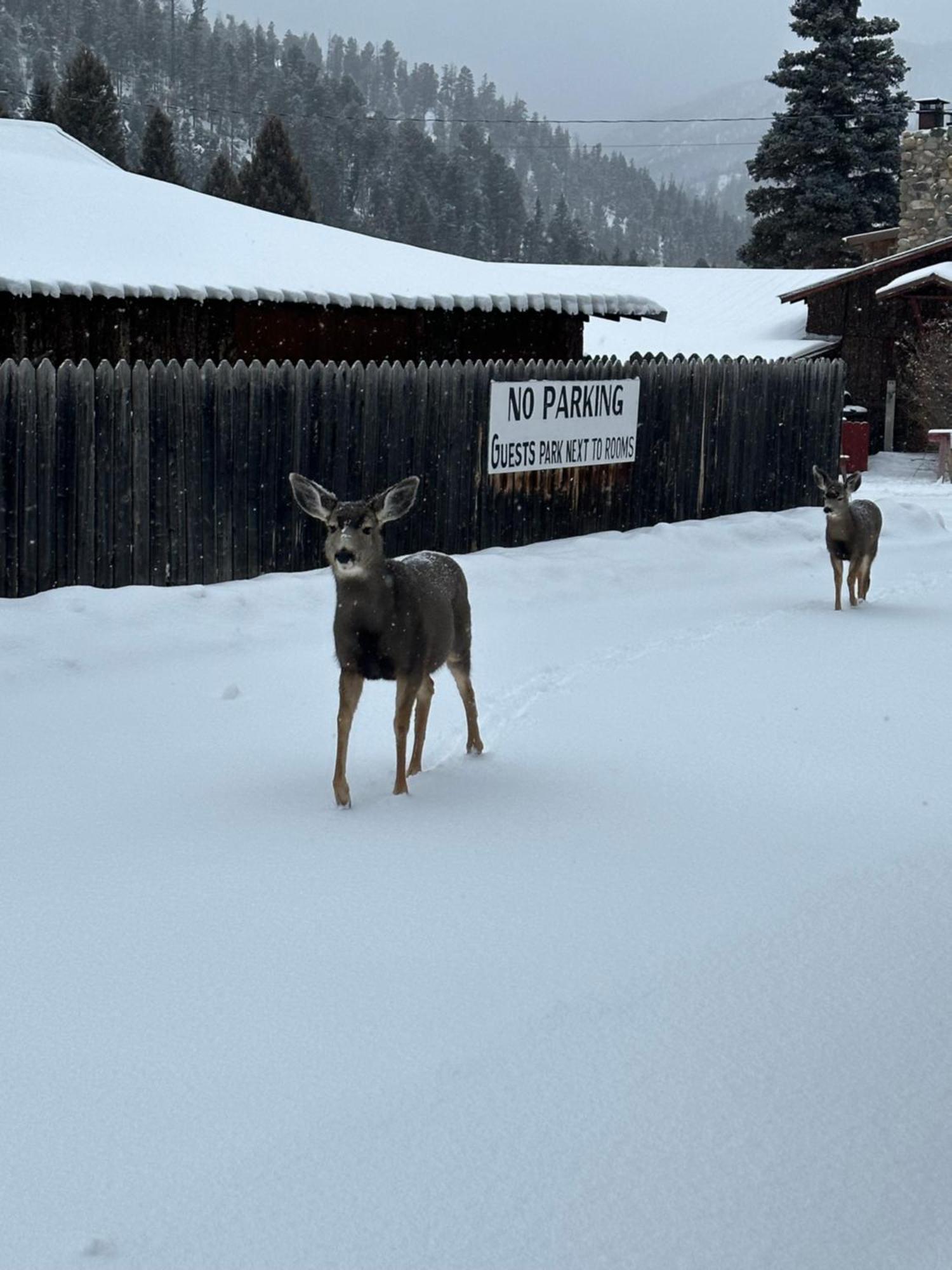 Deer Lodge Red River Exterior photo